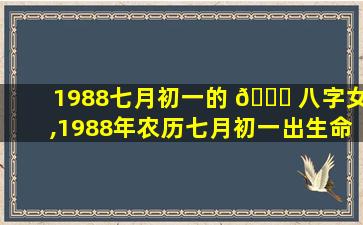 1988七月初一的 🐅 八字女,1988年农历七月初一出生命运怎么样